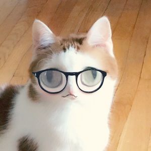 Meet your Posher, Sue